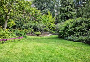 Optimiser l'expérience du jardin à Fontaine-Henry